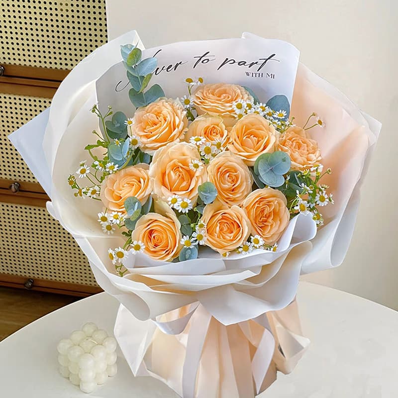 Falling in love with one person, 11 champagne roses - Send roses to China
