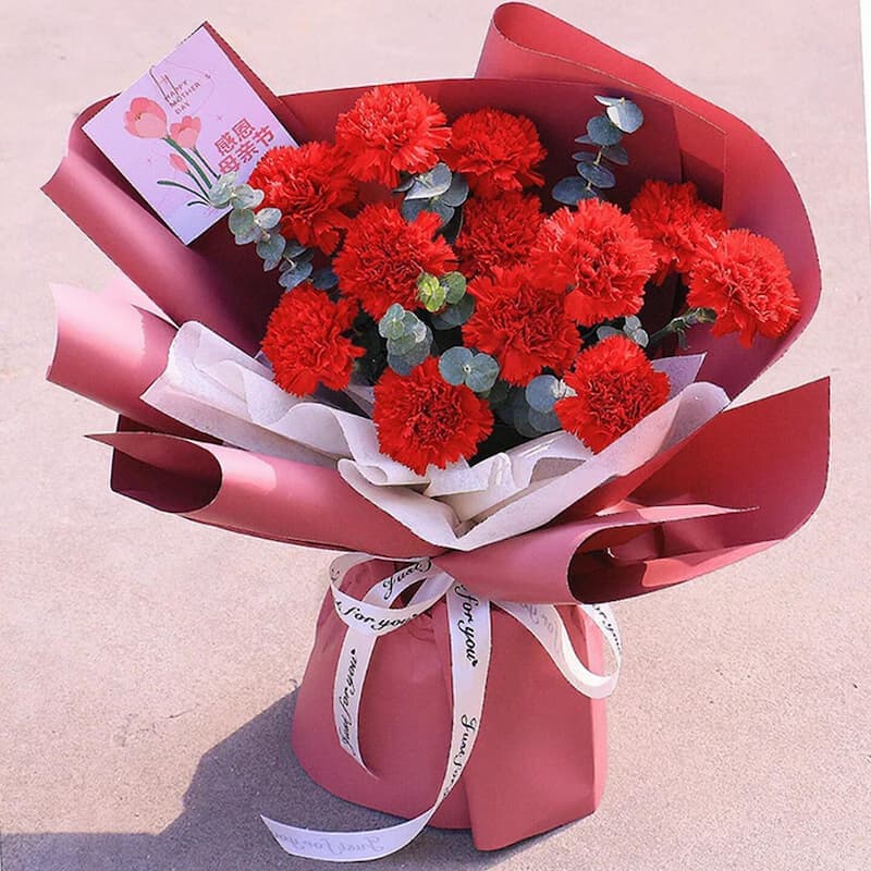 Greetings on Mother's Day, 11 red carnations - Blessing flowers delivery to China