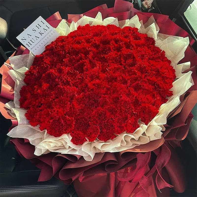 Pine crane symbolizes longevity, adorned with 99 red carnations - Blessing flowers delivery to China