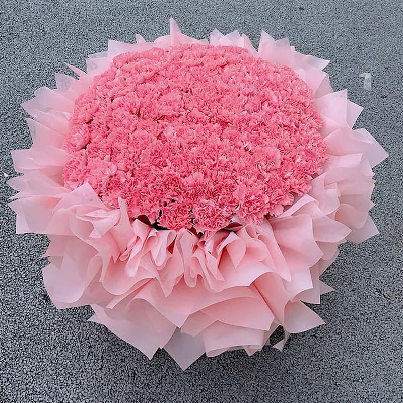 For the longevity of Song Qiao, 99 pink carnations - Blessing flowers delivery to China