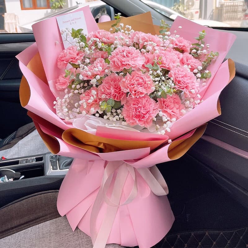 Pink Mother's Day, 19 pink carnations - Blessing flowers delivery to China