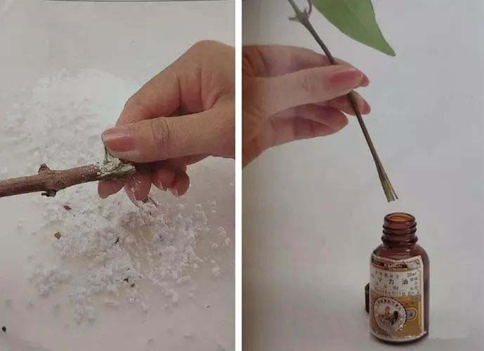 Rubbing medicines