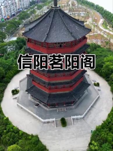 xinyang flower delivery